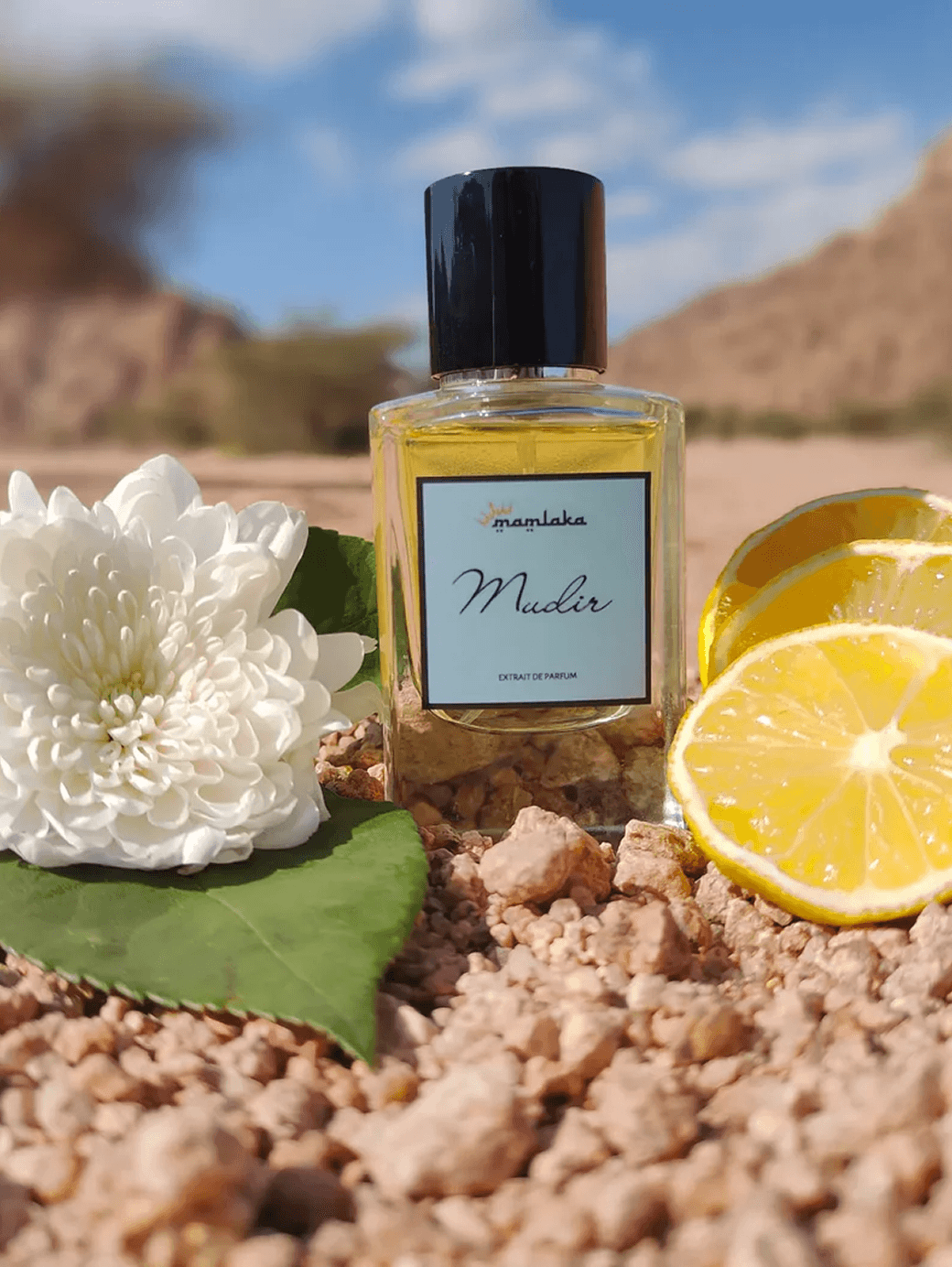 Mamlaka perfume bottle in a desert-inspired scene with citrus and flower accents